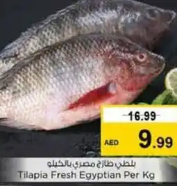 Last Chance Tilapia Fresh Egyptian Per Kg offer