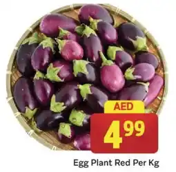 City Retail Supermarket Egg Plant Red Per kg offer