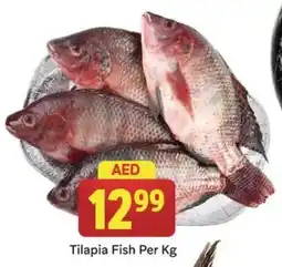 City Retail Supermarket Tilapia Fish per kg offer