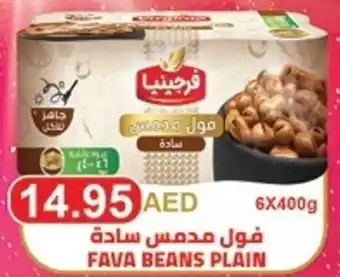 Spar FAVA BEANS PLAIN 6 X 400G offer