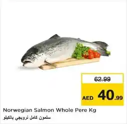Nesto Norwegian Salmon Whole per kg offer