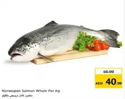 Nesto Norwegian Salmon Whole Per Kg offer