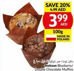 Viva Stokson Blueberry/ Double Chocolate Muffins 100g offer