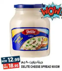 Hashim Hypermarket DELITE CHEESE SPREAD 900GM offer