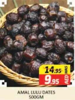 AMAL LULU DATES 500GM