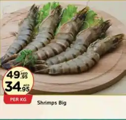 West Zone Supermarket Shrimps Big offer