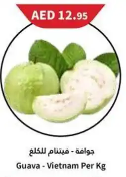 Almaya supermarket Guava - Vietnam Per Kg offer