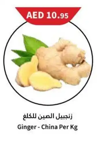 Almaya supermarket Ginger - China Per Kg offer