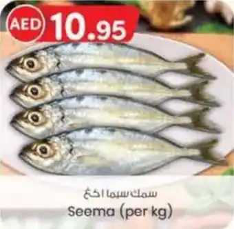 KM Trading Seema (per kg) offer
