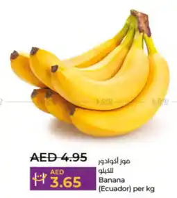 LuLu Express Banana (Ecuador) per kg offer