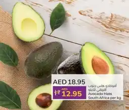 Lulu Hypermarket Avocado Hass per kg offer