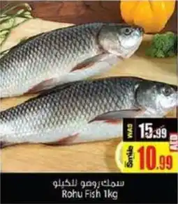 Ansar Mall Rohu Fish 1kg offer