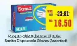 Sanita Disposable Gloves (Assorted)