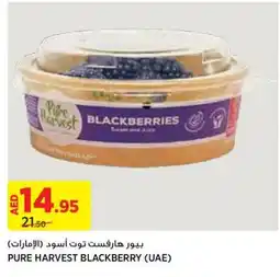 Aswaaq PURE HARVEST BLACKBERRY offer