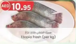KM Trading Tilapia fresh (per kg) offer