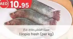 E City Tilapia fresh (per kg) offer