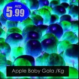 Amber Apple Baby Gala /Kg offer