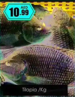 Amber Tilapia /Kg offer