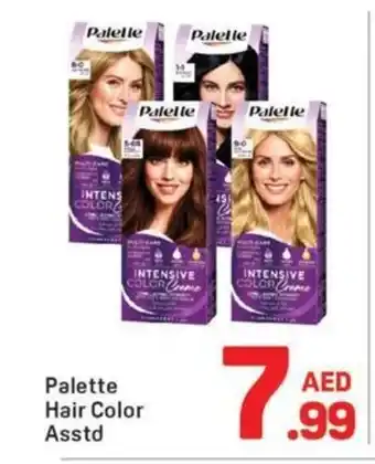Day To Day Palette Hair Color Asstd offer