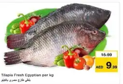 Nesto Tilapia Fresh Egyptian per kg offer