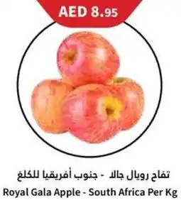 Almaya supermarket Royal Gala Apple -Per Kg offer