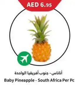 Almaya supermarket Baby Pineapple Per Pc offer