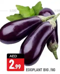 Shaklan EGGPLANT BIG/KG offer
