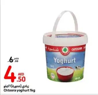 Carrefour Chtoora yoghurt 1kg offer