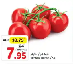 Union Coop Tomato Bunch/Kg offer