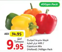 Union Coop Capsicum Mix /400gm Pack offer