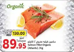 Union Coop Salmon Fillet Organic /Kg offer