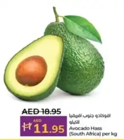 Lulu Hypermarket Avocado Hass per kg offer