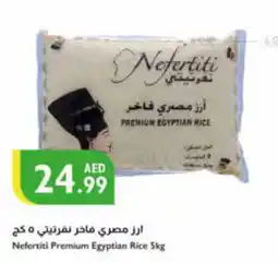 Istanbul Supermarket Nefertiti Premium Egyptian Rice 5kg offer