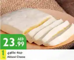 Istanbul Supermarket Akkawi Cheese 1kg offer