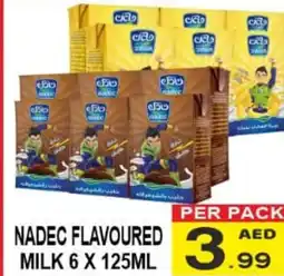Friday Center NADEC FLAVOURED MILK 6 X 125ML offer
