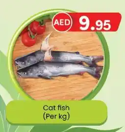 KM Trading Cat fish (Per kg) offer