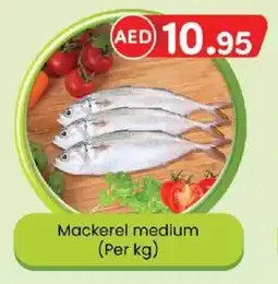 KM Trading Mackerel medium (Per kg) offer
