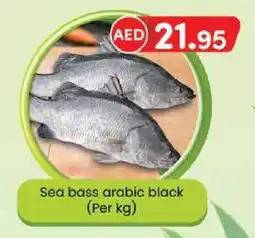 KM Trading Sea bass arabic black (Per kg) offer