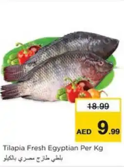 Nesto Tilapia Fresh Egyptian Per Kg offer