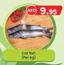 KM Trading Cat fish (Per kg) offer
