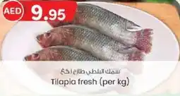 KM Trading Tilapia fresh per kg offer