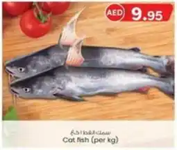KM Trading Cat fish (per kg) offer