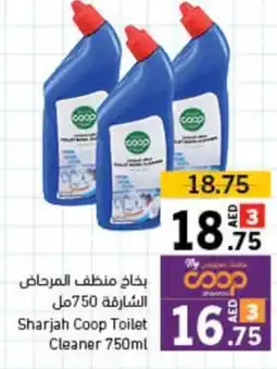 Toilet Cleaner 750ml