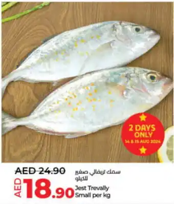 Lulu Hypermarket Jest Trevally Small per kg offer