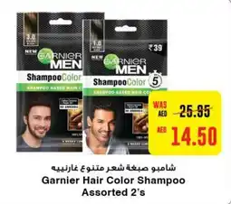 Abu Dhabi Coop Garnier Hair Color Shampoo Assorted 2's offer