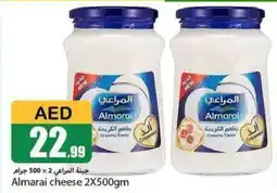 Rawabi Market Almarai cheese 2X500gm offer