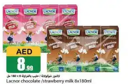 Rawabi Market Lacnor chocolate strawberry milk 8x180ml offer