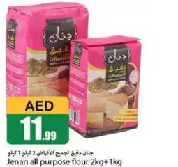 Rawabi Market Jenan all purpose flour 2kg+1kg offer