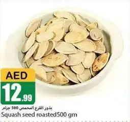 Squash seed roasted 500 gm