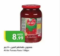Istanbul Supermarket Al Ain Tomato Paste 100gm offer